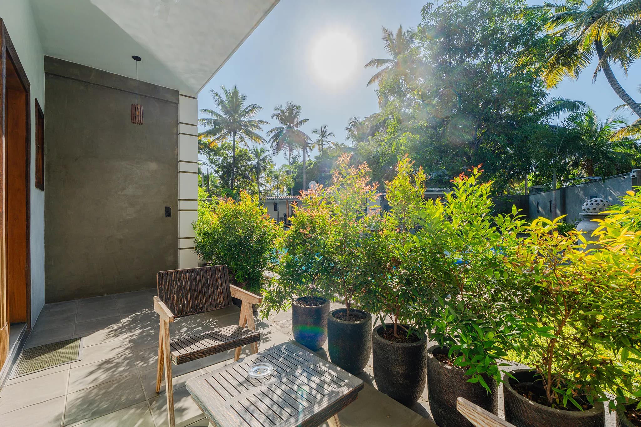 Patio seating beneath coconut palms