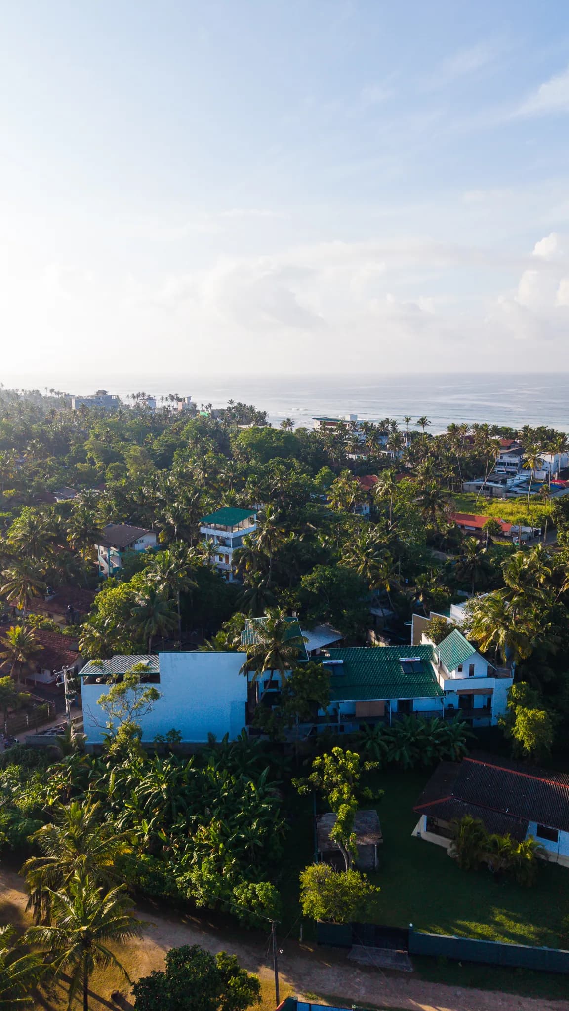 Aerial view over the palms of Ahangama to the Indian Ocean
